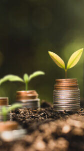 The Seedlings Are Growing On The Coins, Thinking About Financial