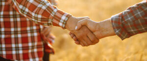 Handshake Of Two Farmer. Successful Businessmen Handshaking Afte