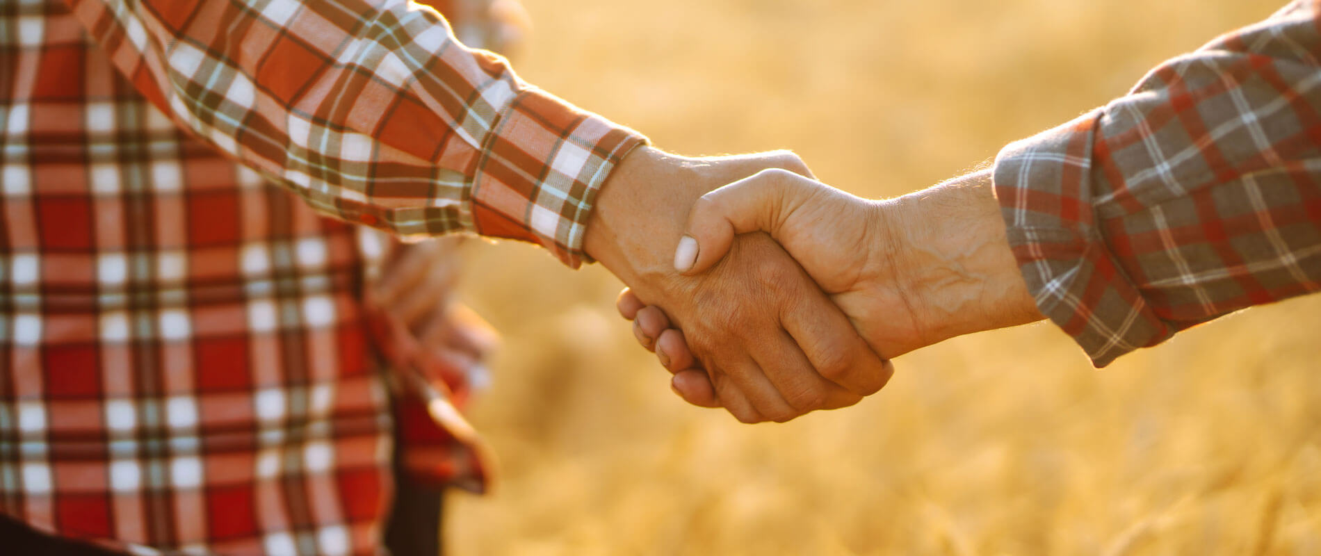 Handshake Of Two Farmer. Successful Businessmen Handshaking Afte
