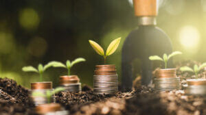 The Seedlings Are Growing On The Coins, Thinking About Financial